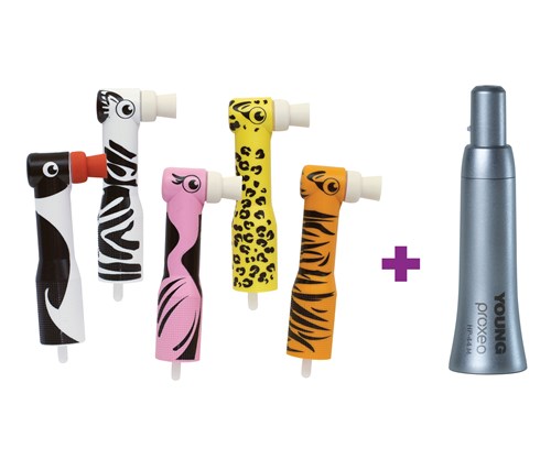 POLIJSTKOPJES YOUNG ZOOBY KIT 500ST + HP44M HANDSTUK ZB01